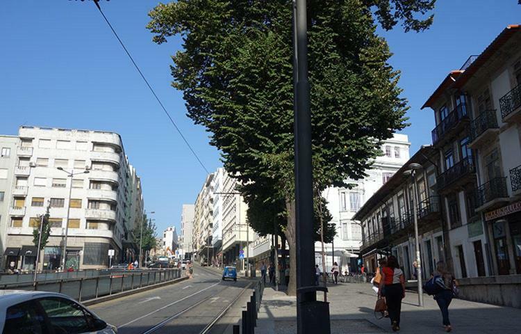 Ceuta Inn Porto Exterior photo
